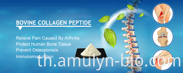 Bovine collagen peptide